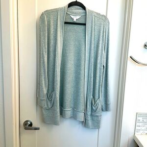 Market & Spruce Mint Green Long Cardigan